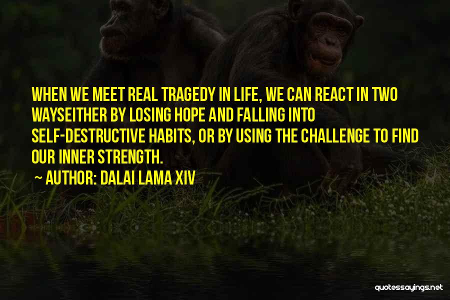 Losing Hope In Life Quotes By Dalai Lama XIV