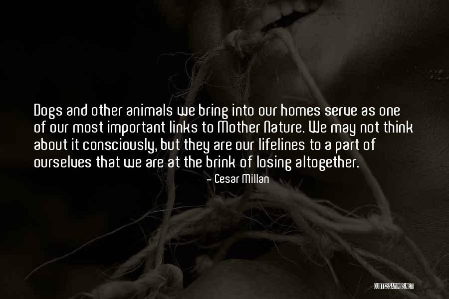 Losing Important Things Quotes By Cesar Millan Losing Important Things Quotes By Cesar Millan