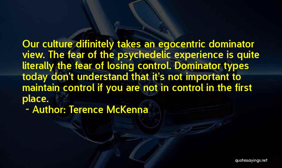 Losing Important Things Quotes By Terence McKenna