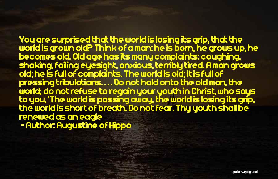 Losing My Grip Quotes By Augustine Of Hippo