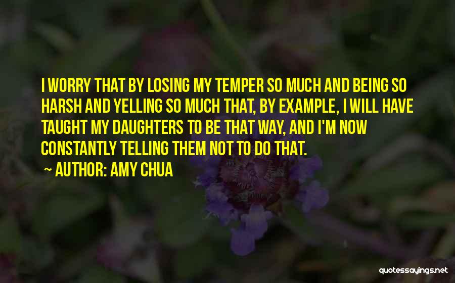 Losing One's Temper Quotes By Amy Chua