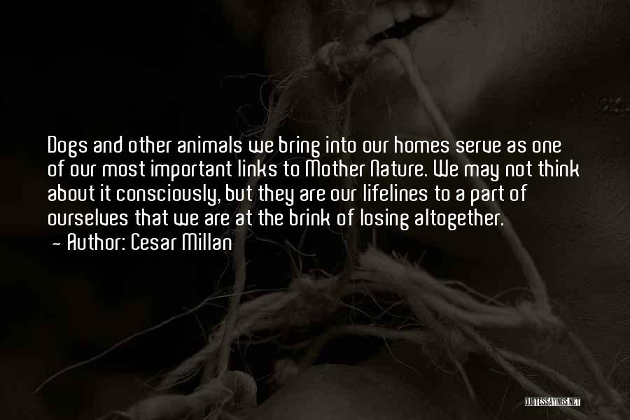 Losing Ourselves Quotes By Cesar Millan