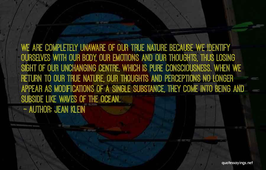 Losing Sight Of Yourself Quotes By Jean Klein