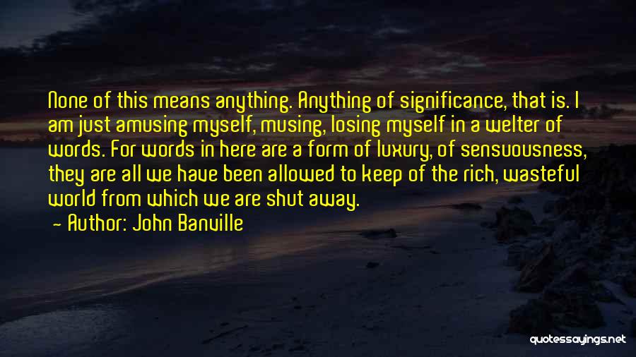 Losing Someone Who Means The World To You Quotes By John Banville