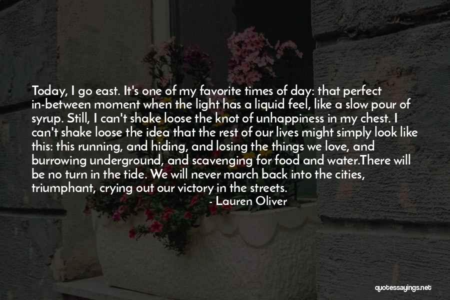 Losing Something You Never Really Had Quotes By Lauren Oliver Losing Something You Never Really Had Quotes By Lauren Oliver