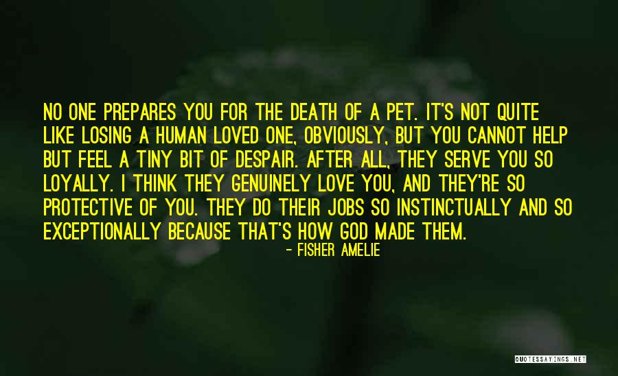 Losing The One You Love Quotes By Fisher Amelie Losing The One You Love Quotes By Fisher Amelie