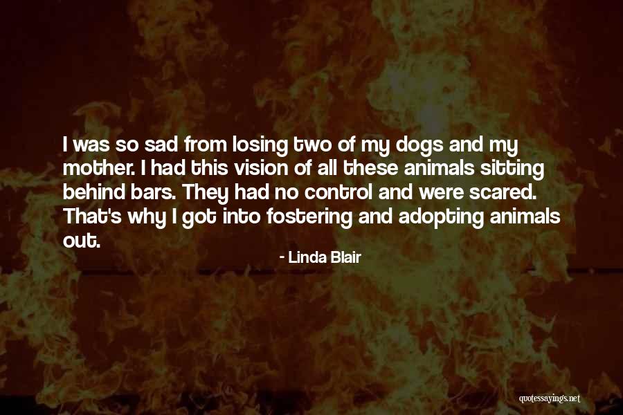 Losing Vision Quotes By Linda Blair