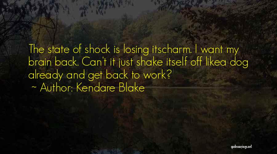 Losing Your Dog Quotes By Kendare Blake