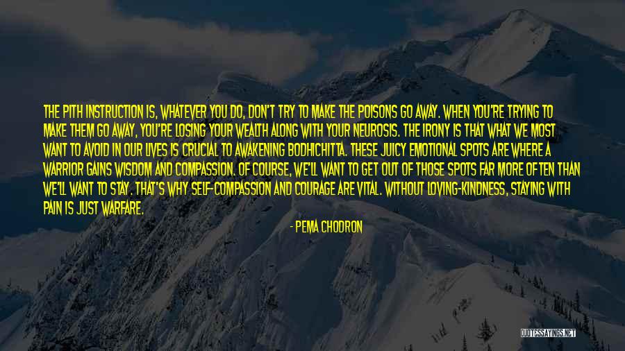 Losing Your Self Quotes By Pema Chodron Losing Your Self Quotes By Pema Chodron