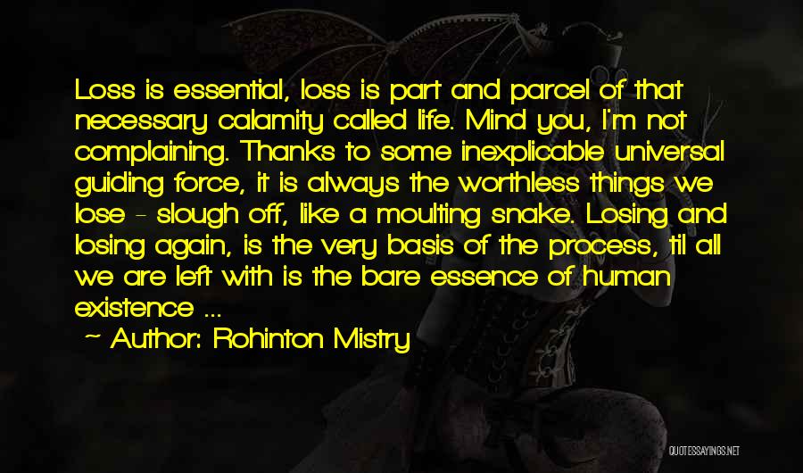 Losing Your Way In Life Quotes By Rohinton Mistry