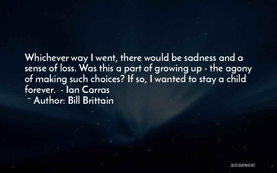 Loss And Sadness Quotes By Bill Brittain