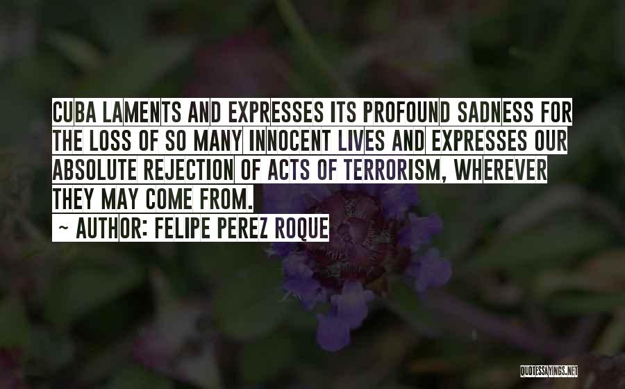 Loss And Sadness Quotes By Felipe Perez Roque