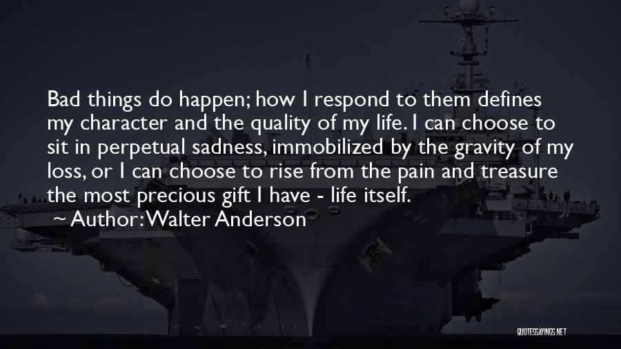 Loss And Sadness Quotes By Walter Anderson
