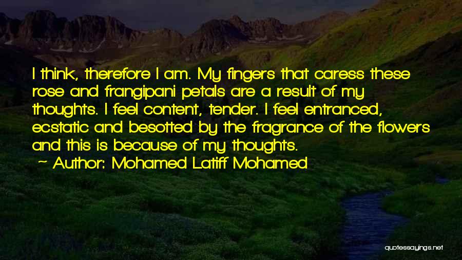 Loss Mourning Quotes By Mohamed Latiff Mohamed