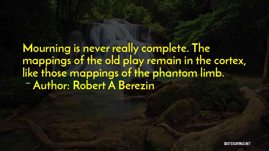 Loss Mourning Quotes By Robert A Berezin