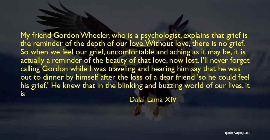 Loss Of A Dear Friend Quotes By Dalai Lama XIV Loss Of A Dear Friend Quotes By Dalai Lama XIV