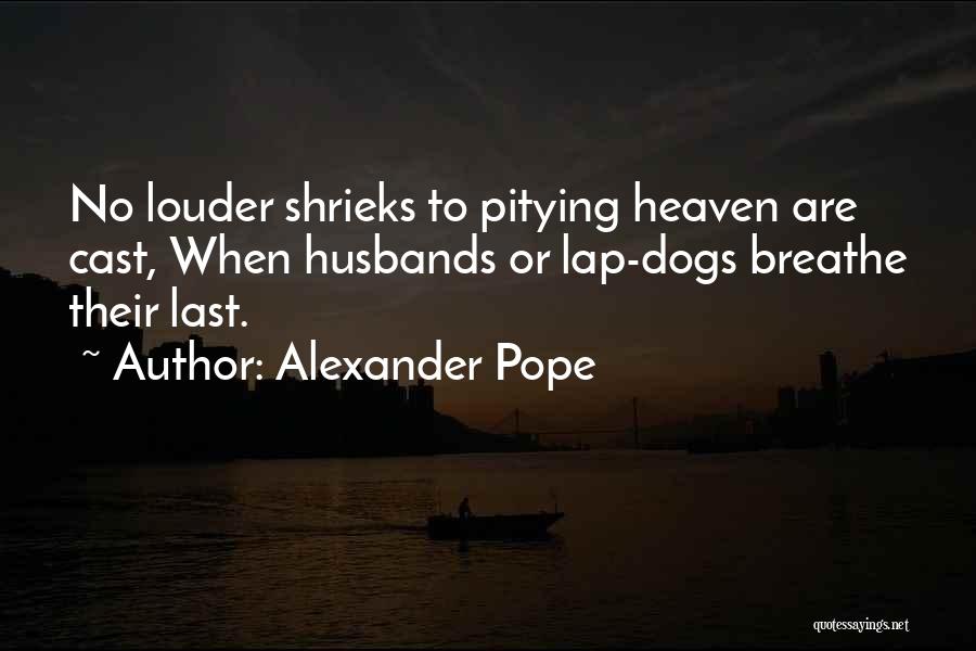 Loss Of A Dog Quotes By Alexander Pope