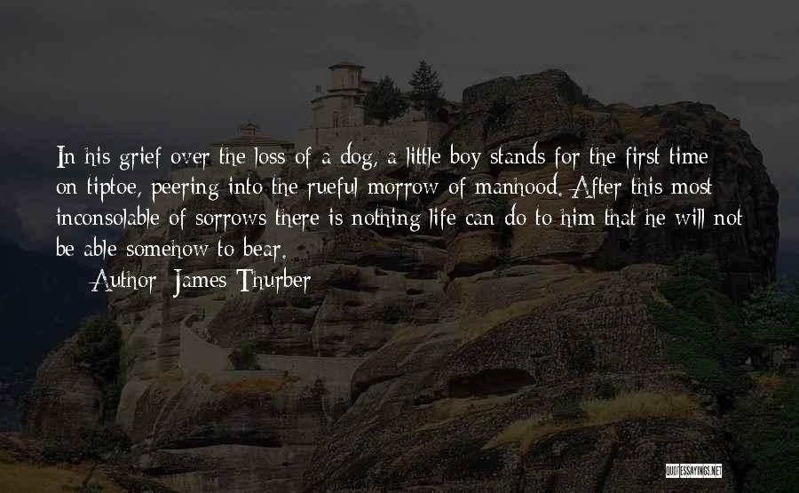 Loss Of A Dog Quotes By James Thurber