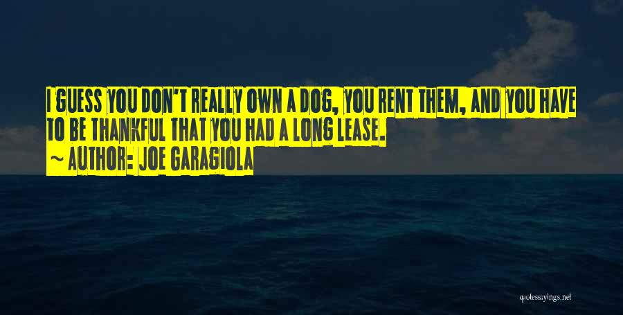 Loss Of A Dog Quotes By Joe Garagiola