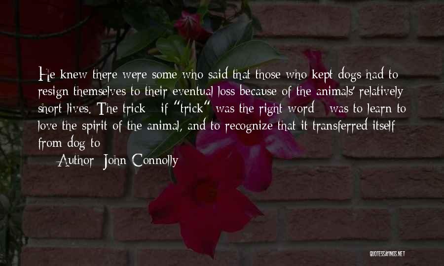 Loss Of A Dog Quotes By John Connolly