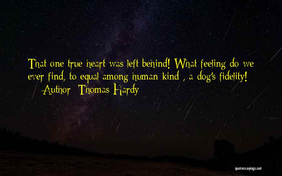 Loss Of A Dog Quotes By Thomas Hardy