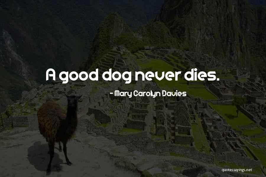 Loss Of A Pet Quotes By Mary Carolyn Davies Loss Of A Pet Quotes By Mary Carolyn Davies