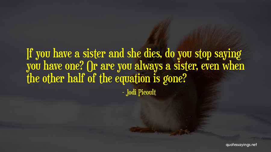 Loss Of A Sister Quotes By Jodi Picoult Loss Of A Sister Quotes By Jodi Picoult