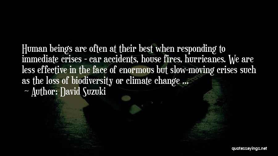 Loss Of Biodiversity Quotes By David Suzuki