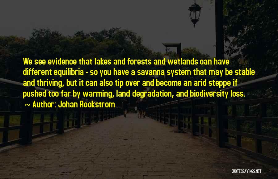 Loss Of Biodiversity Quotes By Johan Rockstrom