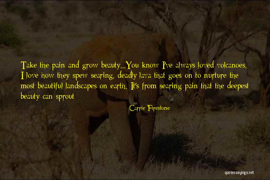 Loss Of Family Of Family Quotes By Carrie Firestone Loss Of Family Of Family Quotes By Carrie Firestone
