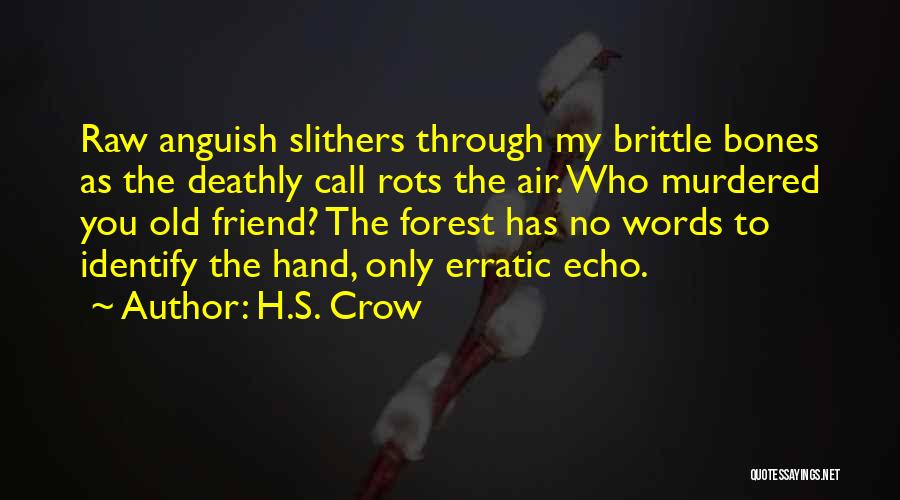 Loss Of Friend Death Quotes By H.S. Crow