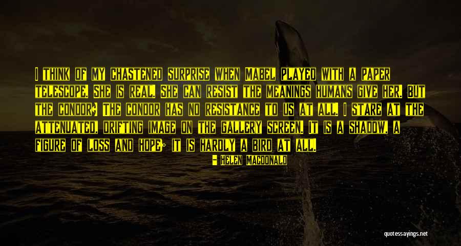 Loss Of Hope Quotes By Helen Macdonald Loss Of Hope Quotes By Helen Macdonald