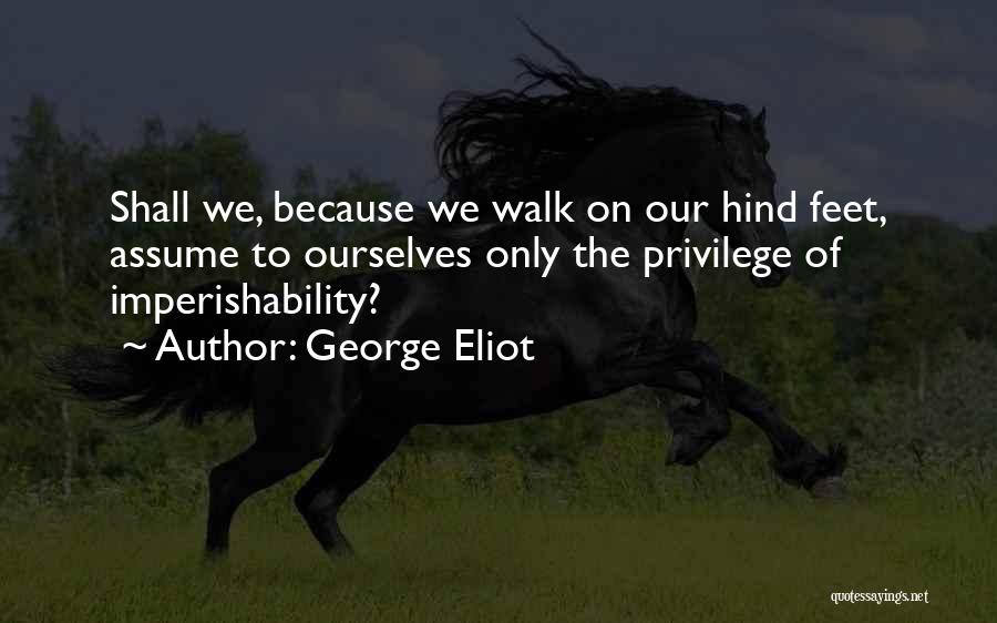 Loss Of Pet Quotes By George Eliot