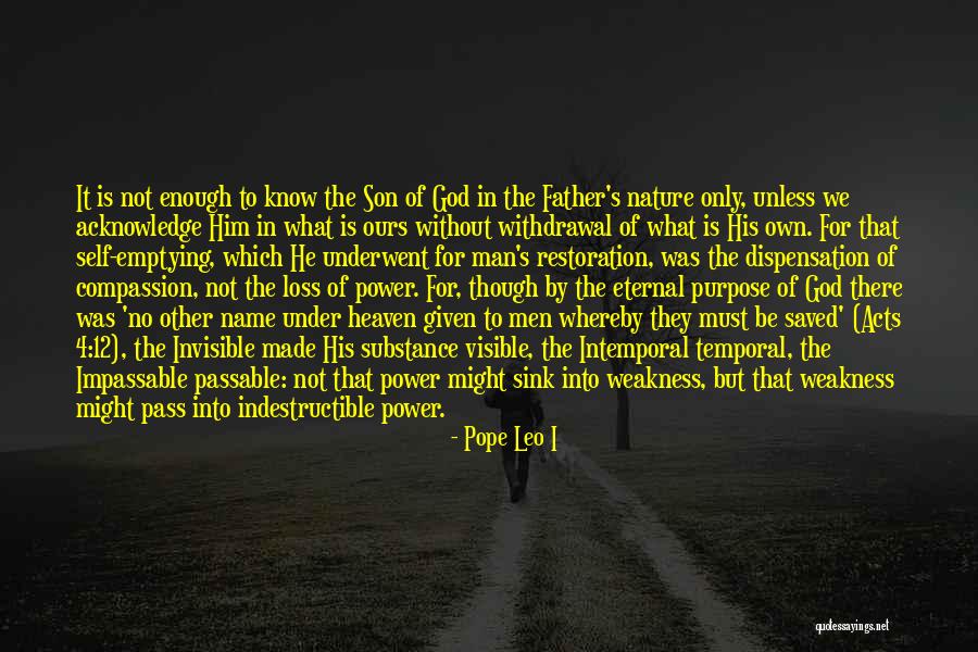 Loss Of Your Father Quotes By Pope Leo I