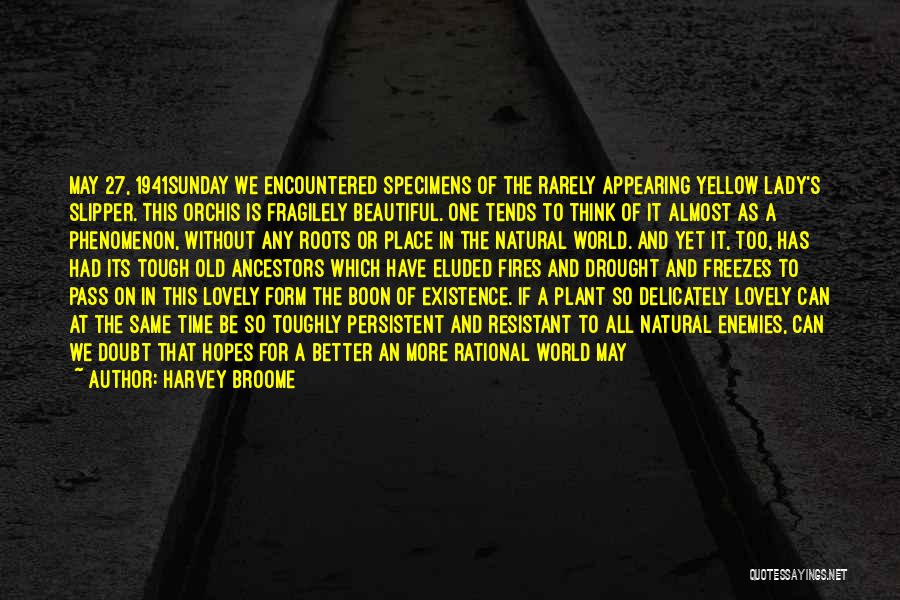 Lost All Hopes Quotes By Harvey Broome Lost All Hopes Quotes By Harvey Broome