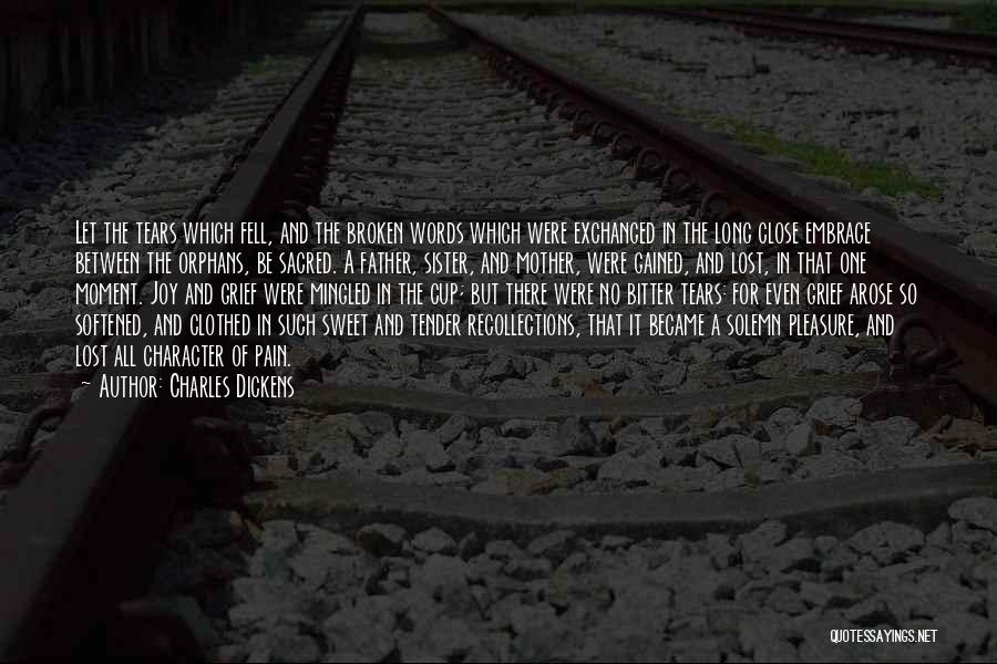 Lost And Broken Quotes By Charles Dickens