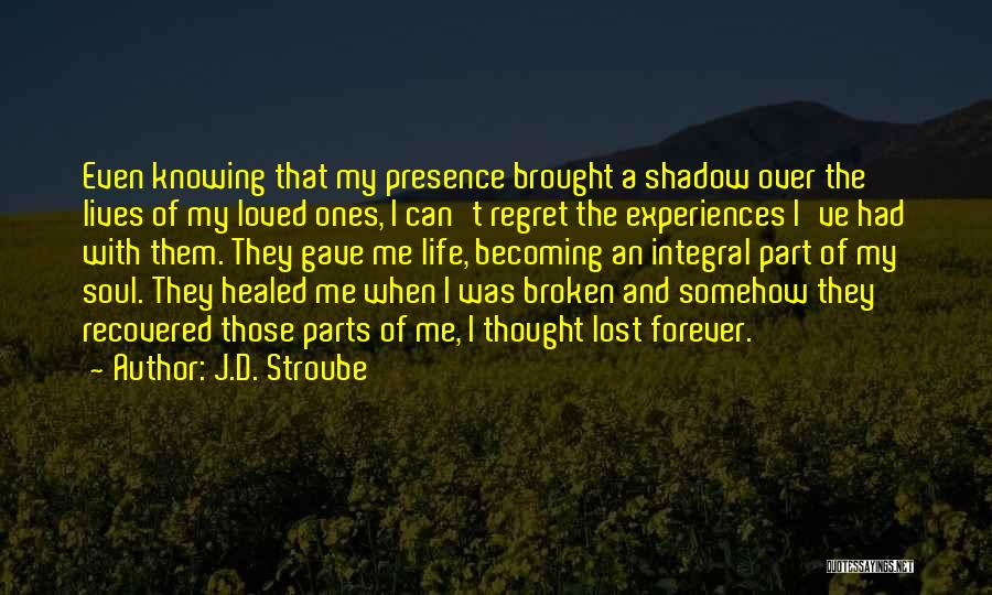 Lost And Broken Quotes By J.D. Stroube
