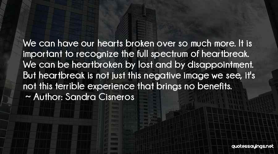 Lost And Broken Quotes By Sandra Cisneros