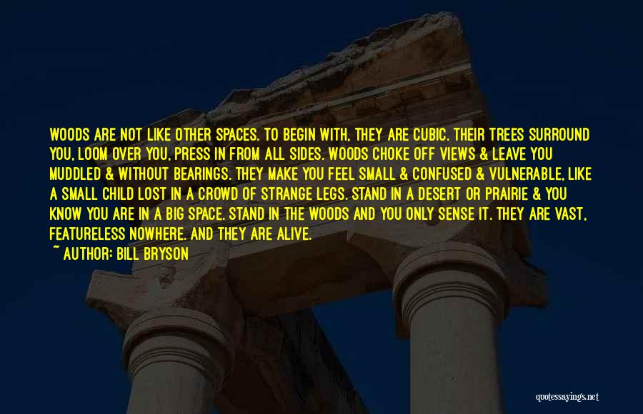 Lost And Confused Quotes By Bill Bryson