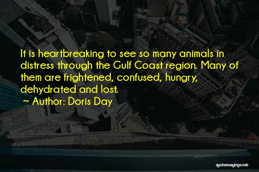 Lost And Confused Quotes By Doris Day