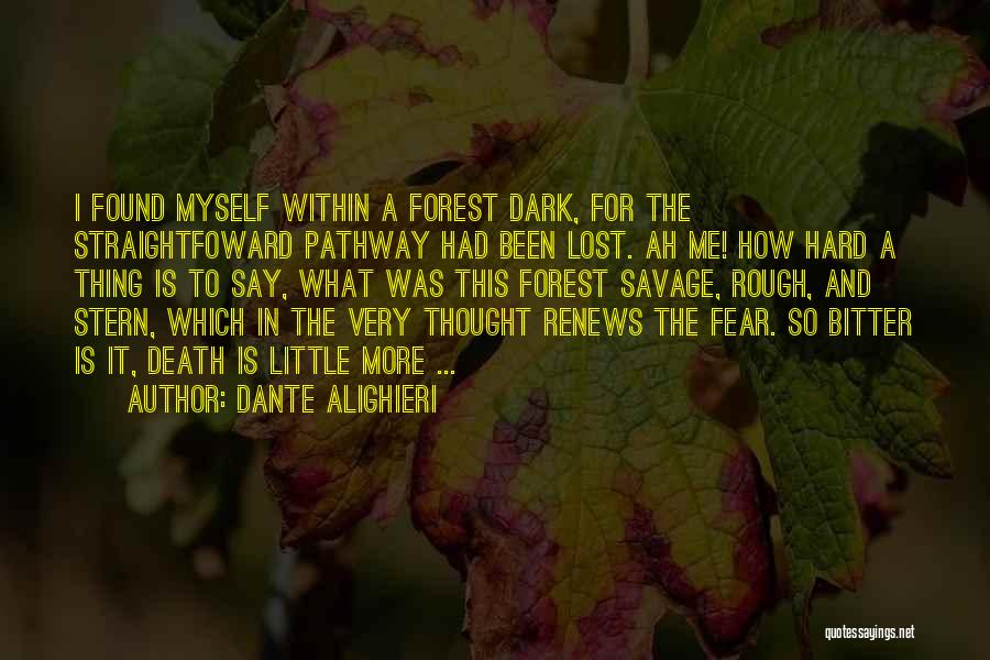Lost And Found Myself Quotes By Dante Alighieri