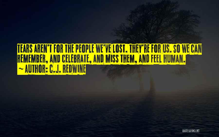 Lost And Hurt Quotes By C.J. Redwine
