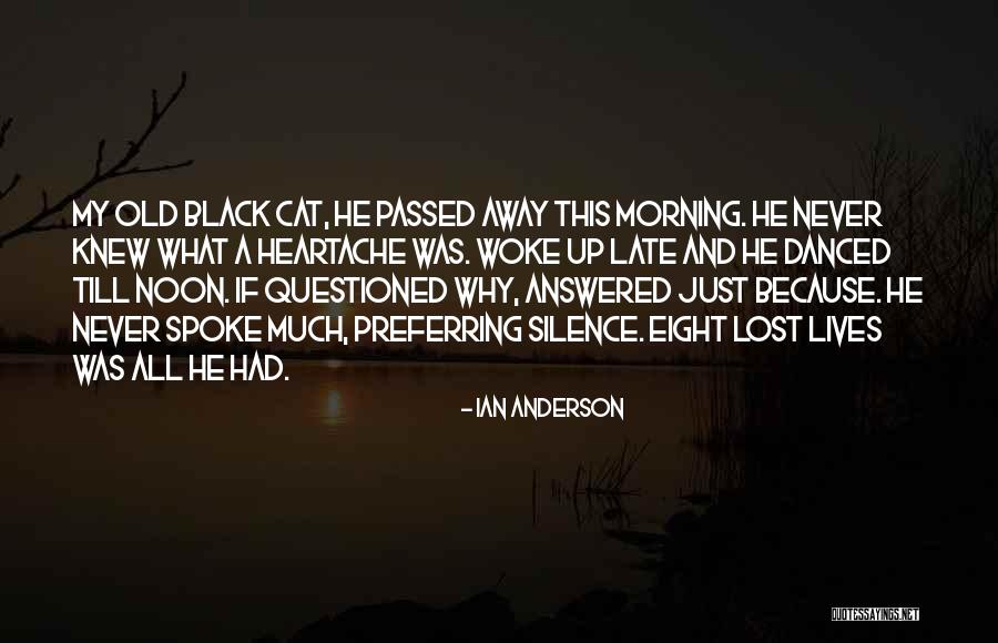 Lost Cat Quotes By Ian Anderson