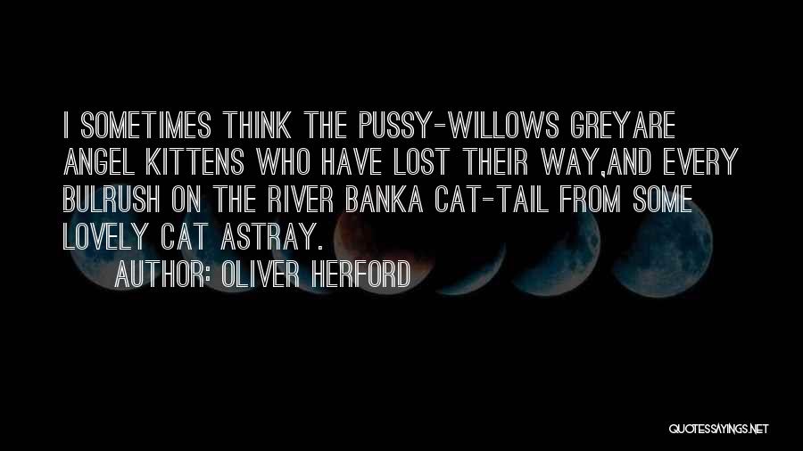Lost Cat Quotes By Oliver Herford
