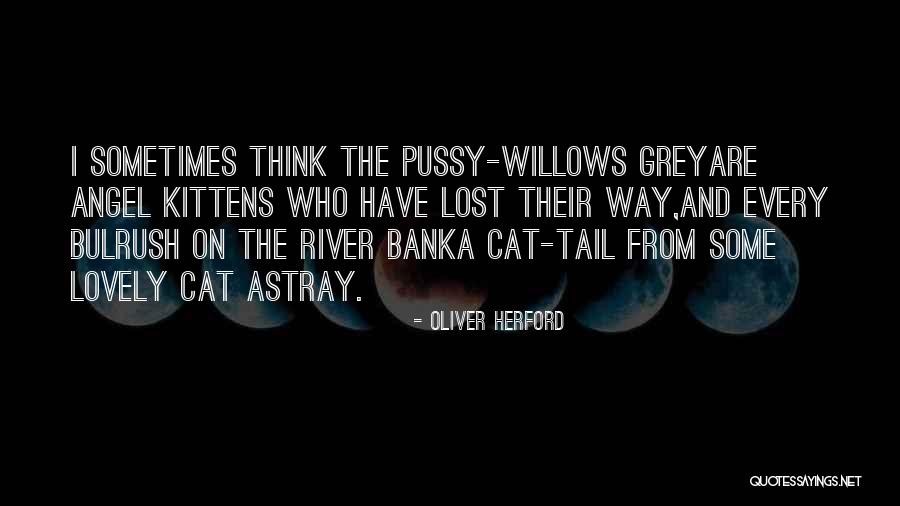 Lost Cat Quotes By Oliver Herford