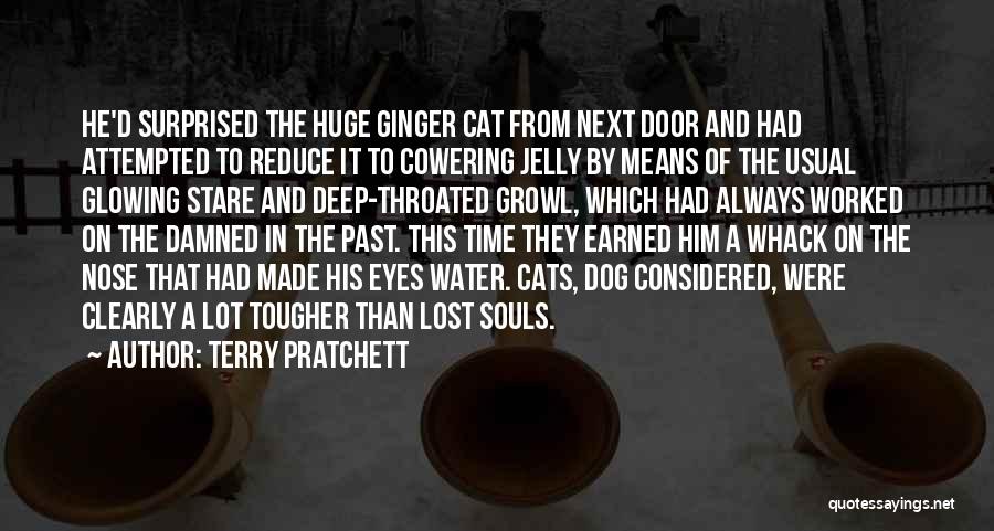 Lost Cat Quotes By Terry Pratchett