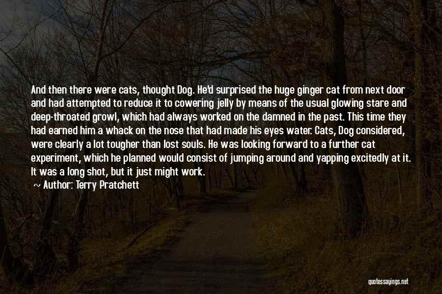 Lost Cat Quotes By Terry Pratchett