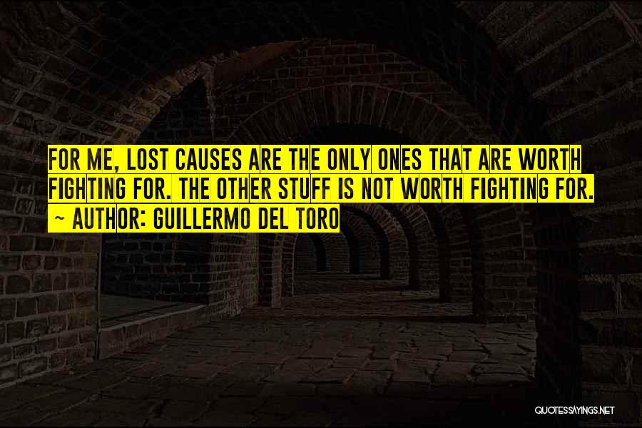 Lost Causes Quotes By Guillermo Del Toro