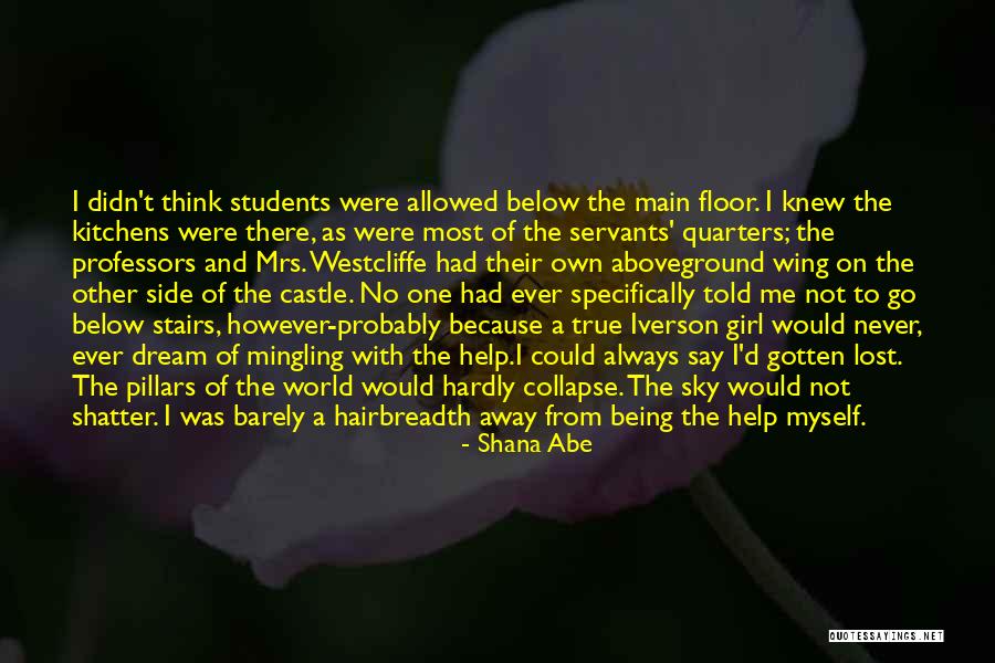 Lost Dream Quotes By Shana Abe Lost Dream Quotes By Shana Abe
