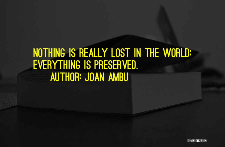 Lost Everything Quotes By Joan Ambu